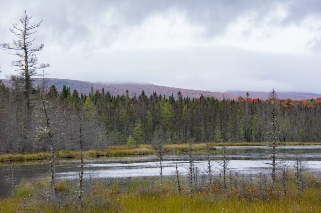 Ferdinand, VT